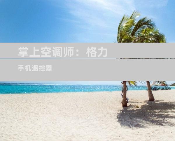 掌上空调师：格力手机遥控器